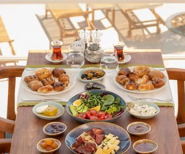 Port Vista ألاتشاتي